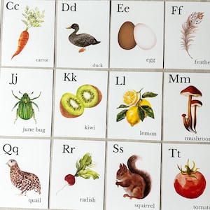 Nature Alphabet Flash Cards Farm Alphabet ABC Flashcards Watercolor Alphabet Nature Flash Cards Nature Study Homeschool Montessori Learning image 3