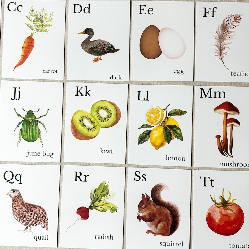 Nature Alphabet Flash Cards Farm Alphabet ABC Flashcards Watercolor Alphabet Nature Flash Cards Nature Study Homeschool Montessori Learning image 3