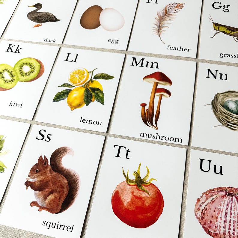 Nature Alphabet Flash Cards Farm Alphabet ABC Flashcards Watercolor Alphabet Nature Flash Cards Nature Study Homeschool Montessori Learning image 9