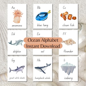 Cartes flash alphabet océan Cartes ABC éducatives sur le thème de l'océan Alphabet aquarelle Étude de la nature École à la maison Activités Montessori Apprendre les lettres