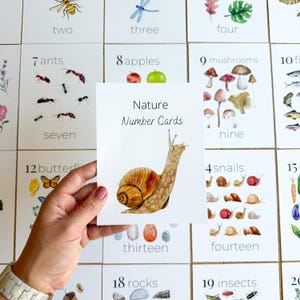 Nature Number Cards 1-20 Classroom Math Counting Cards Nursery Wall Art Montessori Pre K Homeschool Activities Classroom Nature Aesthetic