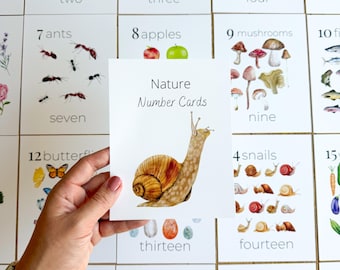 Cartões Numéricos da Natureza de 1 a 20 para Sala de Aula, Cartões de Contagem Matemática, Arte de Parede para Berçário, Atividades Montessori para Pré-Escola e Educação Domiciliar, Estética da Natureza na Sala de Aula