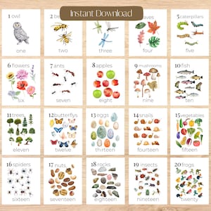 Carte con numeri naturali Contare i numeri in classe Carte conteggi di matematica Ispirata alla natura Arte della parete della scuola materna Attività Montessori Pre K Homeschool