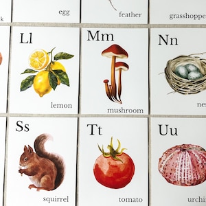 Nature Alphabet Flash Cards Farm Alphabet ABC Flashcards Watercolor Alphabet Nature Flash Cards Nature Study Homeschool Montessori Learning image 14