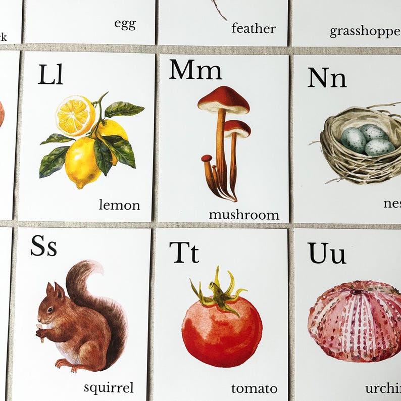 Nature Alphabet Flash Cards Farm Alphabet ABC Flashcards Watercolor Alphabet Nature Flash Cards Nature Study Homeschool Montessori Learning image 14