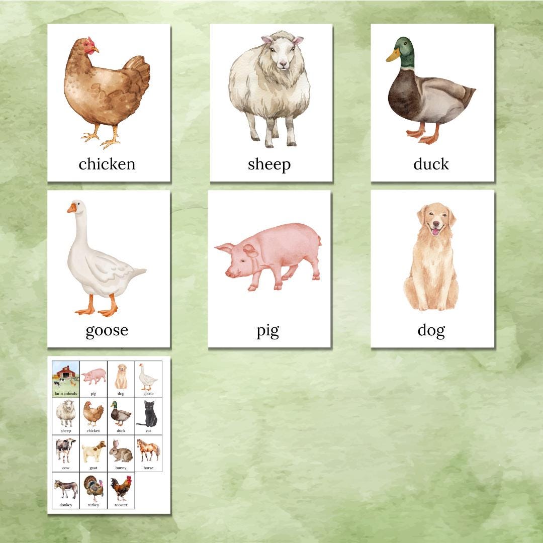 Farm Animal Recognition Cards Farming Prints for Prek and Kindergarten ...