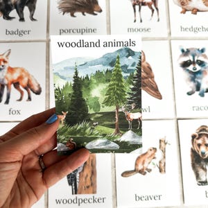 Bosdierenkaarten voor dierenherkenning Bosprints voor peuters Flashcards Montessori-geïnspireerd educatief speelgoed en prints voor kinderen