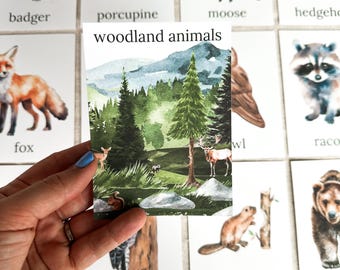 Cartões de animais da floresta para reconhecimento de animais, estampas de madeira para crianças pequenas, flashcards, brinquedos educativos e estampas inspirados em Montessori para crianças