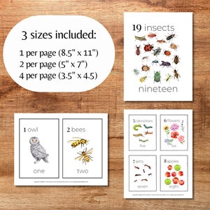 Cartes numériques nature compter les nombres 1-20 cartes mathématiques pour la salle de classe Art mural pour chambre d'enfant Activités préscolaires Montessori Cartes inspirées de la nature