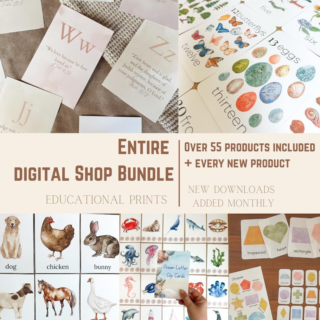 Entire Shop Sale Mega Bundle Whole Store Digital Download Huge Bundle ...