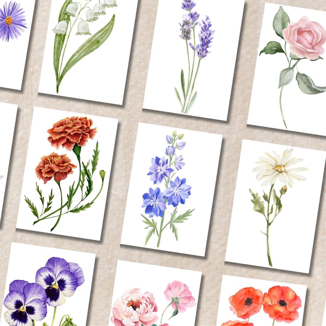 Say It With Flowers Notecards Floral Greeting Cards Blank Note Cards ...