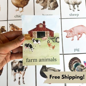 Tarjetas de reconocimiento de animales de granja Impresiones agrícolas para actividades de preescolar y jardín de infantes Tarjetas educativas inspiradas en Montessori Animales con tema de granja