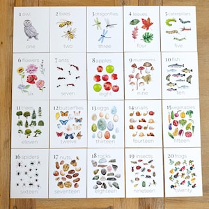 May include: A set of twenty educational flashcards arranged in a grid, each featuring a number from one to twenty, the corresponding word, and watercolor illustrations of nature items like owls, bees, leaves, apples, and frogs.