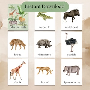 Tarjeta de animales de safari para reconocer animales Estampados de animales de la jungla para actividades para niños pequeños Juguetes y juegos inspirados en Montessori Animales de safari africanos