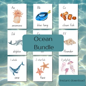 Ozean Bündel Vorschule Natur Bündel Ozean Karteikarten Alphabet Lernkarten ABC Karten und Zahlenkarten Zählaktivität Montessori für PreK