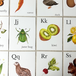 Nature Alphabet Flash Cards Farm Alphabet ABC Flashcards Watercolor Alphabet Nature Flash Cards Nature Study Homeschool Montessori Learning image 11