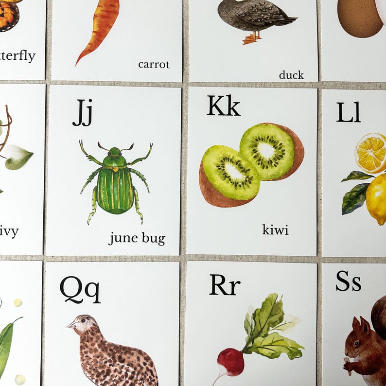 Nature Alphabet Flash Cards Farm Alphabet ABC Flashcards Watercolor Alphabet Nature Flash Cards Nature Study Homeschool Montessori Learning image 11