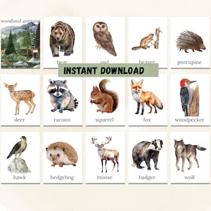 Woodland Animal Cards for Animal Recognition Woodsy Prints for Toddler Activities Montessori Inspired Educational Toys and Games for Kids