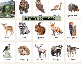 Cartões de animais da floresta para reconhecimento de animais, estampas da floresta para atividades infantis, brinquedos e jogos educativos inspirados no método Montessori para crianças.