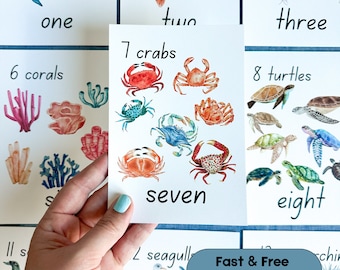 Ocean Number Cards 1-20 Classroom Math Counting Cards Nursery Wall Art  Montessori Counting Homeschool Activities Nature Inspired Images