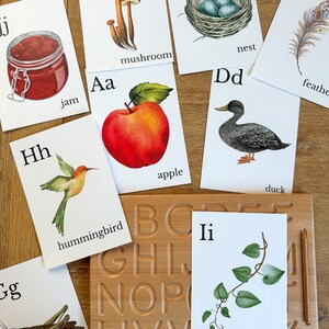 May include: A collection of educational flashcards featuring watercolor illustrations of an apple, a hummingbird, a duck, and other objects. The cards are arranged around a wooden alphabet tracing board. The word "apple" is visible.
