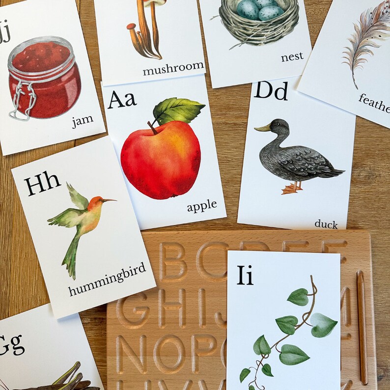May include: A collection of educational flashcards featuring watercolor illustrations of an apple, a hummingbird, a duck, and other objects. The cards are arranged around a wooden alphabet tracing board. The word "apple" is visible.