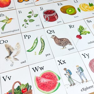May include: A set of illustrated alphabet flashcards featuring colorful watercolor images. Each card displays a letter and a corresponding word, such as "apple," "hummingbird," and "owl." The cards are arranged on a white surface.