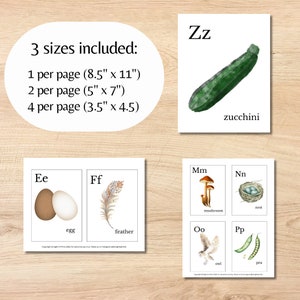 Nature Alphabet Flash Cards Farm Alphabet ABC Cards Watercolor Flash Cards Nature Study Homeschool Alphabet Montessori Nature Inspired Cards