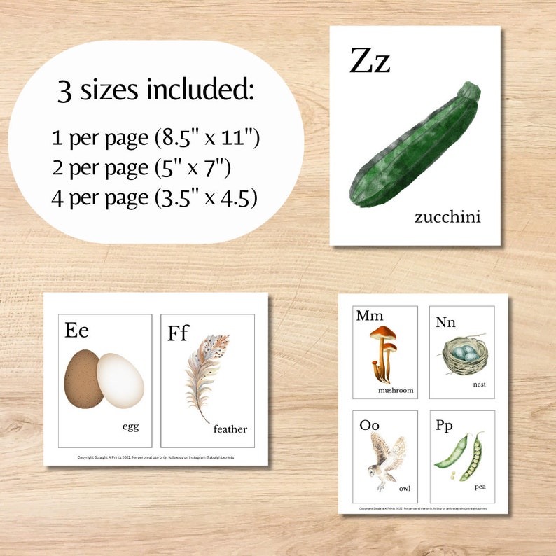 May include: Educational flashcards featuring watercolor illustrations of a zucchini, egg, feather, mushroom, nest, owl, and pea. The cards include the letters Zz, Ee, Ff, Mm, Nn, Oo, and Pp. Three sizes are included: 8.5" x 11", 5" x 7", and 3.5" x 4.5".