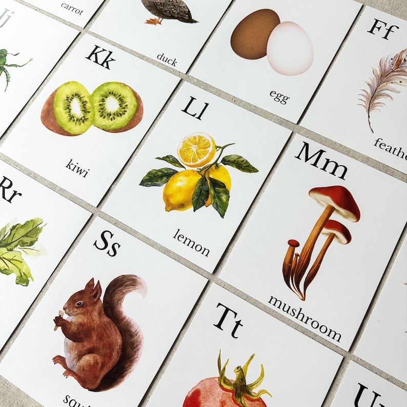 Nature Alphabet Flash Cards Farm Alphabet ABC Flashcards Watercolor Alphabet Nature Flash Cards Nature Study Homeschool Montessori Learning image 16
