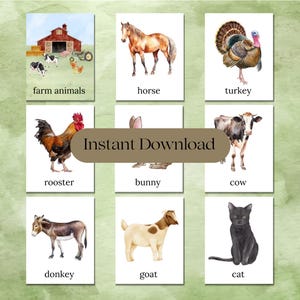 Tarjetas de animales de granja para reconocer animales Láminas de agricultura para actividades de preescolar y jardín de infantes Tarjetas educativas inspiradas en Montessori