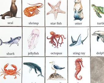 Ocean Animal Flash Cards for Animal Recognition Beach  Prints for Toddler Activities Montessori Educational Toys and Animal Games for Kids