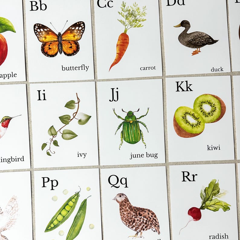 Nature Alphabet Flash Cards Farm Alphabet ABC Flashcards Watercolor Alphabet Nature Flash Cards Nature Study Homeschool Montessori Learning image 12