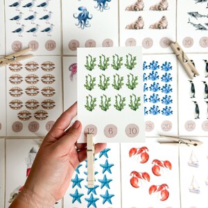Compter les océans et cartes à clipser Activité de comptage Cartes-éclair sur le thème de l'océan Activités primaires Cartes de nombres de plage Éducation préscolaire Montessori