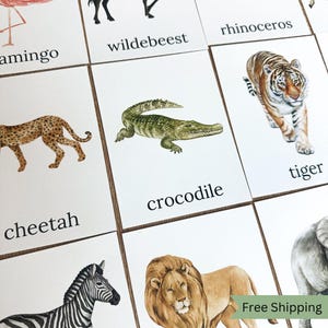 Safari Animal Recognition Cards Jungle Animal Prints for Toddler Activity Montessori Inspired Cards Free Shipping Animal Identifying Cards