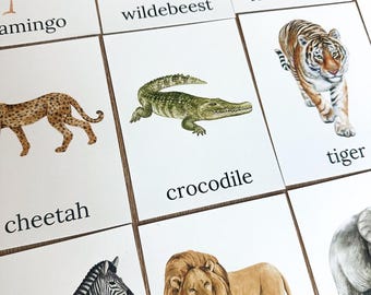 Safari Animal Recognition Cards Jungle Animal Prints for Toddler Activity Montessori Inspired Cards Free Shipping Animal Identifying Cards