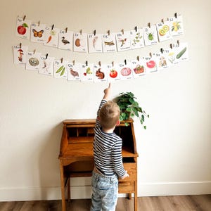Nature Alphabet Flash Cards Farm Alphabet ABC Flashcards Watercolor Alphabet Nature Flash Cards Nature Study Homeschool Montessori Learning image 2