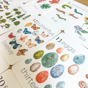Natuur nummer kaarten 1-20 klas wiskunde telkaarten kinderkamer muur kunst Montessori pre K Homeschool activiteiten klas natuur esthetiek