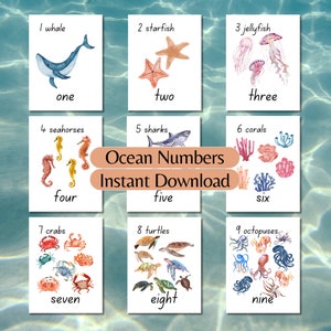 Cartes numériques océan 1-20 pour la classe, comptage des cartes, art mural pour chambre d'enfant, comptage Montessori, activités pour l'école à la maison, carte numérique inspirée de la nature
