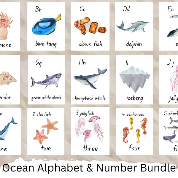Ocean Bundle Preschool Nature Bundle Ocean Flash Cards Alphabet Flash Cards ABC cards and Number Cards Counting Activity Montessori for PreK
