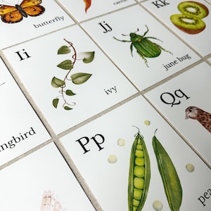 Nature Alphabet Flash Cards Farm Alphabet ABC Flashcards Watercolor Alphabet Nature Flash Cards Nature Study Homeschool Montessori Learning image 8