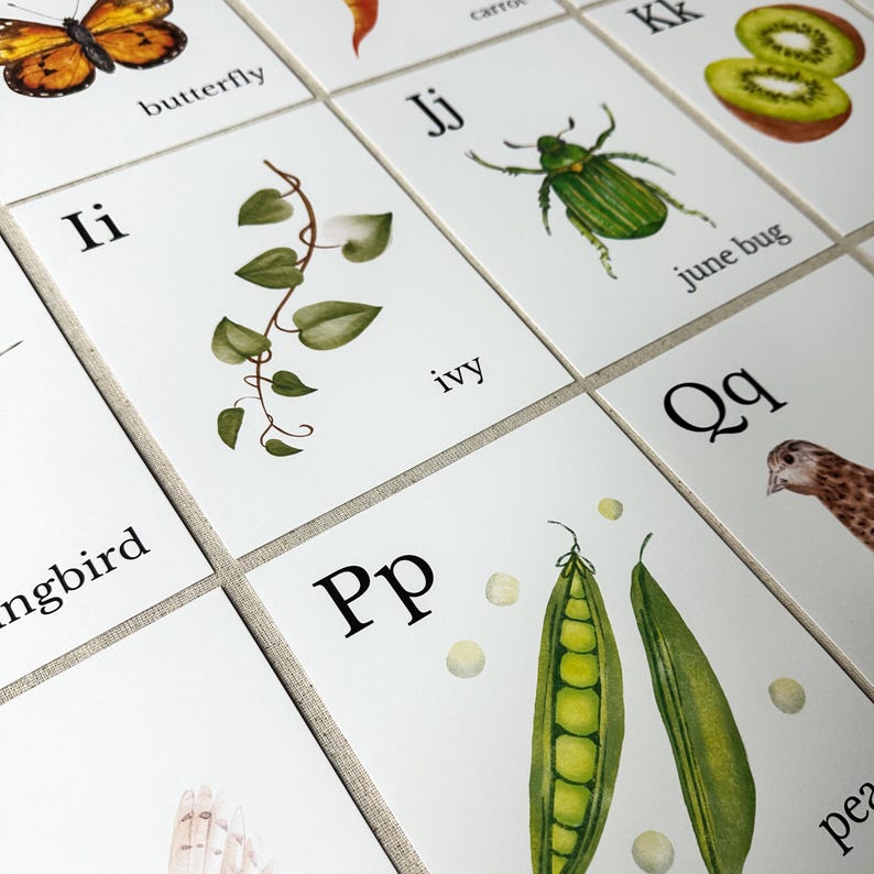 Nature Alphabet Flash Cards Farm Alphabet ABC Flashcards Watercolor Alphabet Nature Flash Cards Nature Study Homeschool Montessori Learning image 8