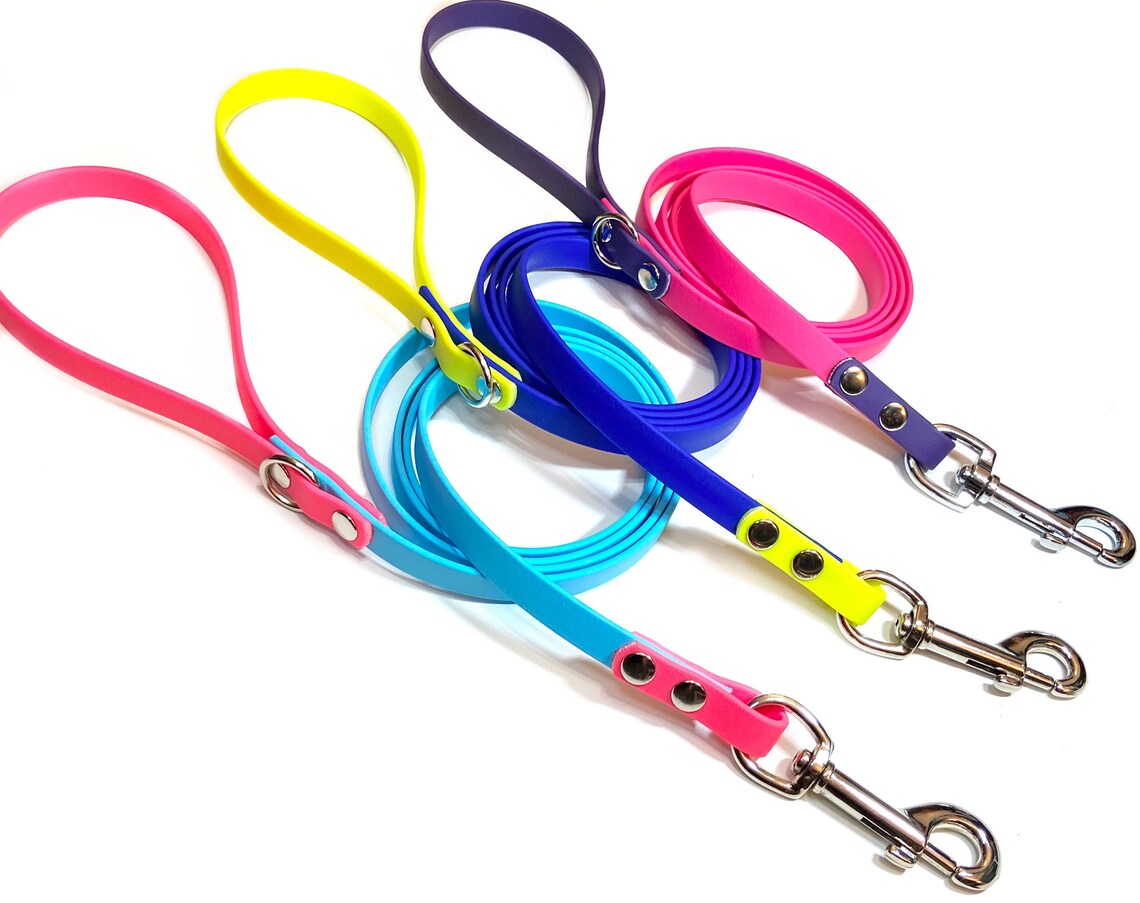 Two Tone Custom Biothane Dog Leash Etsy