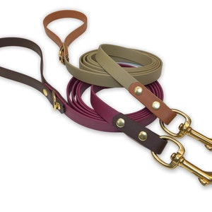 Two tone Custom biothane dog leash image 2