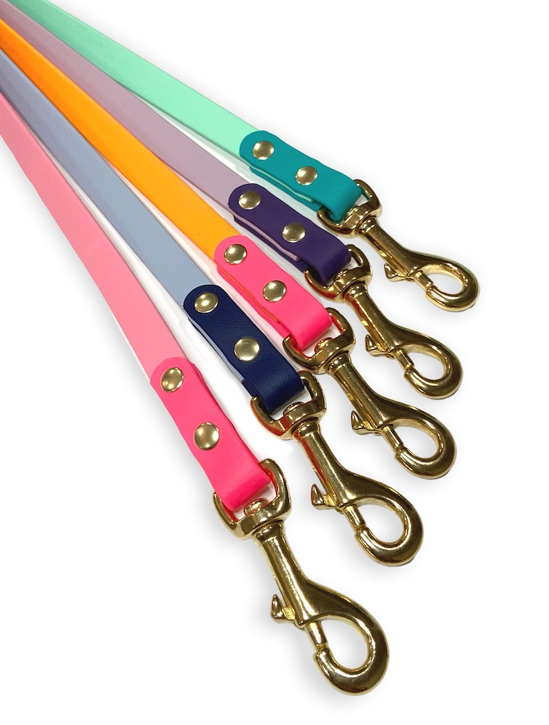 Two tone Custom biothane dog leash image 8