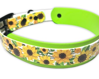 Ready to ship sunflower biothane dog collar
