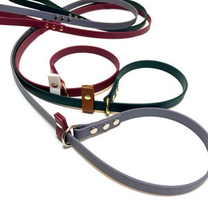5 8 Custom Biothane Slip Lead Etsy UK