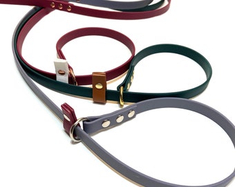 5/8" custom Biothane slip lead