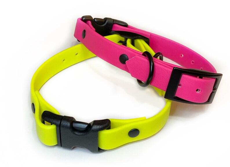 Double buckle custom biothane dog collar traditional buckle Etsy