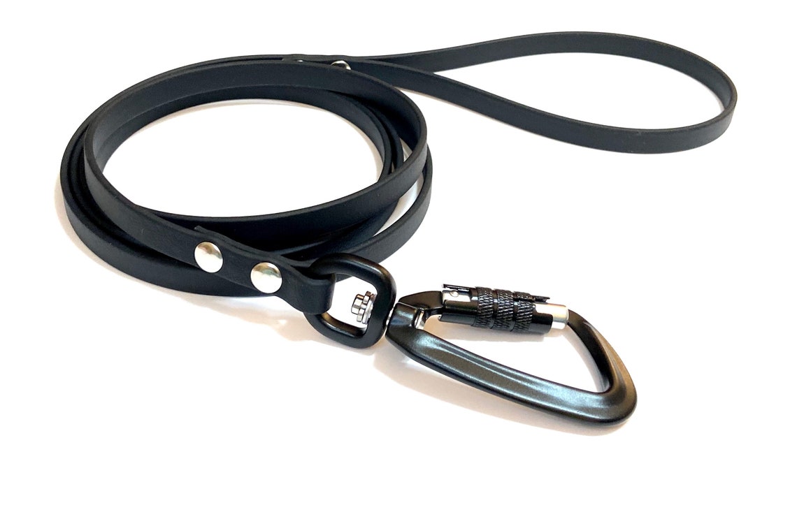 Biothane training leash with swivel carabiner Etsy